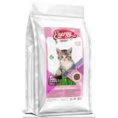 Energy Kitten Cat Food Rich in Chicken сухой корм для котят с курицей (целый мешок 15 кг)